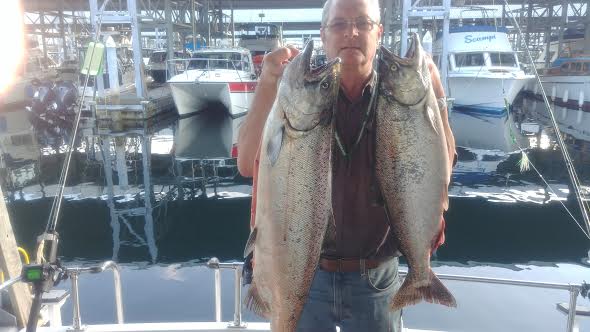 Coho Salmon vs. King Salmon: Which One is Right for You? - BIG KING SALMON  CHARTERS