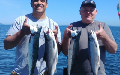 Big Coho Salmon In Puget Sound in July 2020