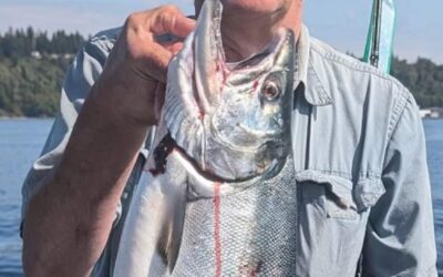 Another Big King For Big King Salmon Charters – August 2024